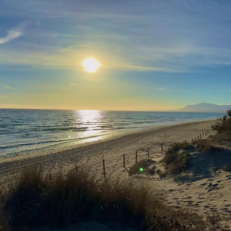 Apartamento Marbella Alicate Beach Exteriör bild